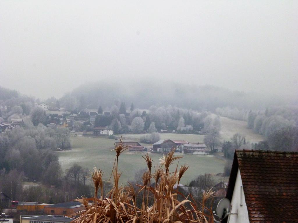 Appartement Gaestehaus Luksch à Freyung Extérieur photo